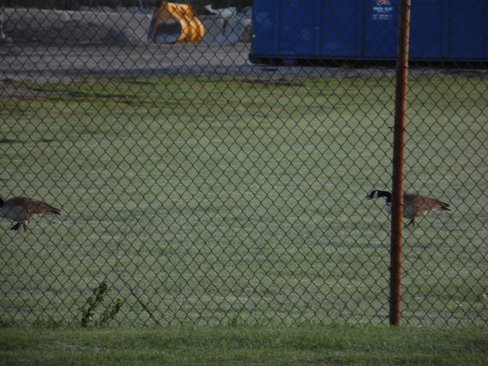 Hope Spay Neuter Clinic - Versailles , United States