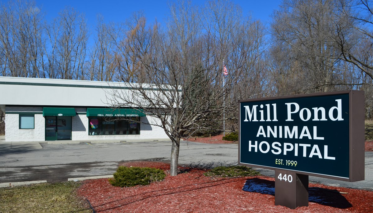 Mill Pond Animal Hospital - Pinckney , United States