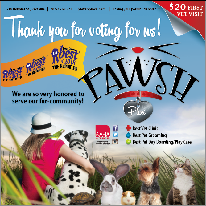 Pawsh Place | Veterinary Center And Boutique - Vacaville , United States