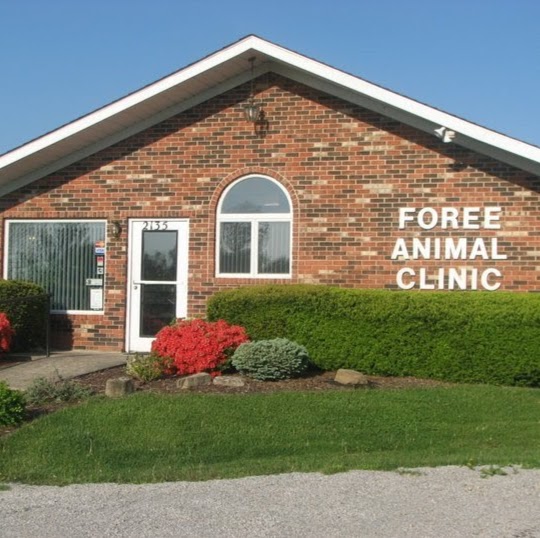 Foree Jb Dvm - New Castle , United States