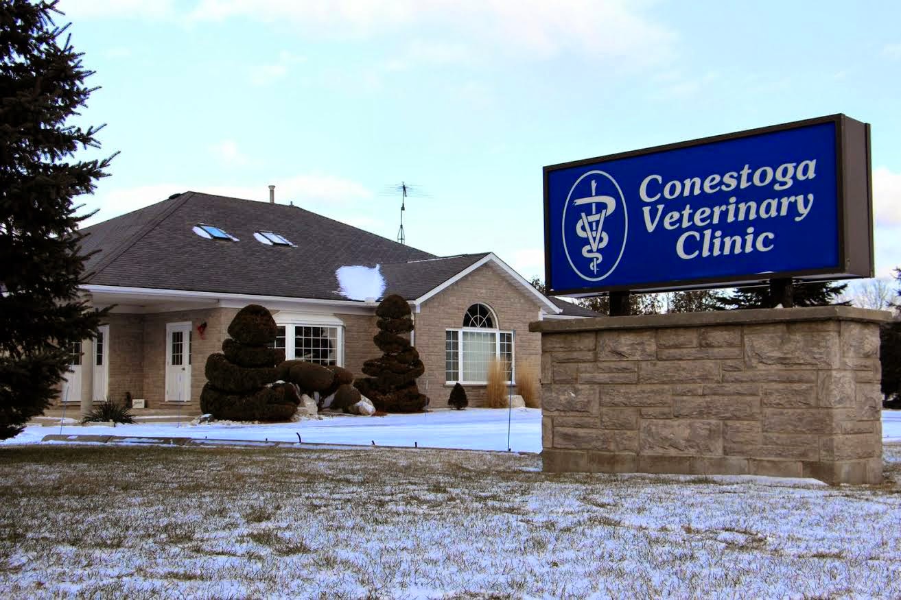 Conestoga Veterinary Clinic - Waterloo , Canada