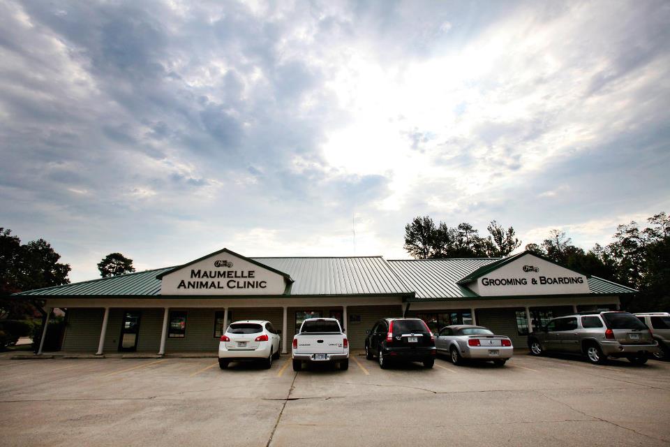 Maumelle Animal Clinic - Maumelle , United States