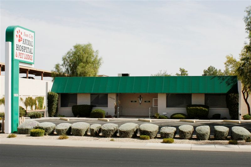 Sun City Animal Hospital - Sun City , United States