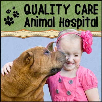 Quality Care Animal Hospital - Four Oaks , United States