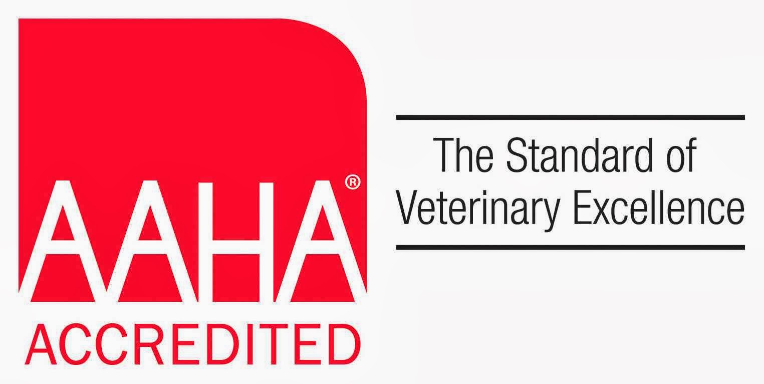 Arbor Pet Hospital - Wilton Manors , United States