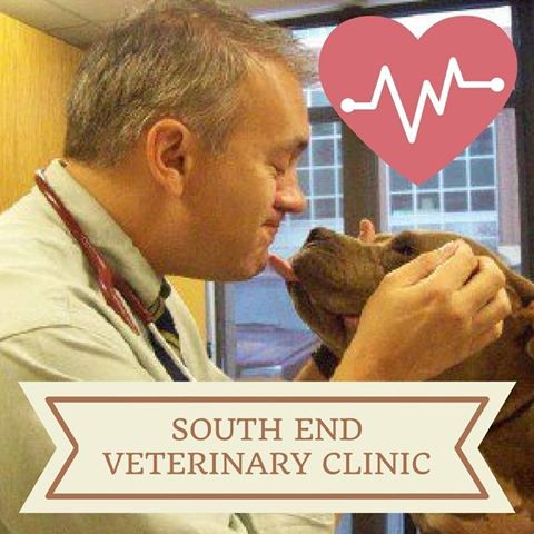 South End Veterinary Clinic - Charlotte , United States