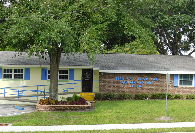 The Cat Hospital Of Orlando - Altamonte Springs , United States