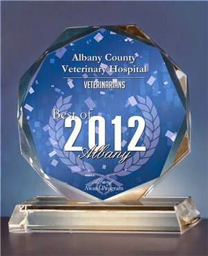 Albany County Veterinary Hospital - Albany , United States