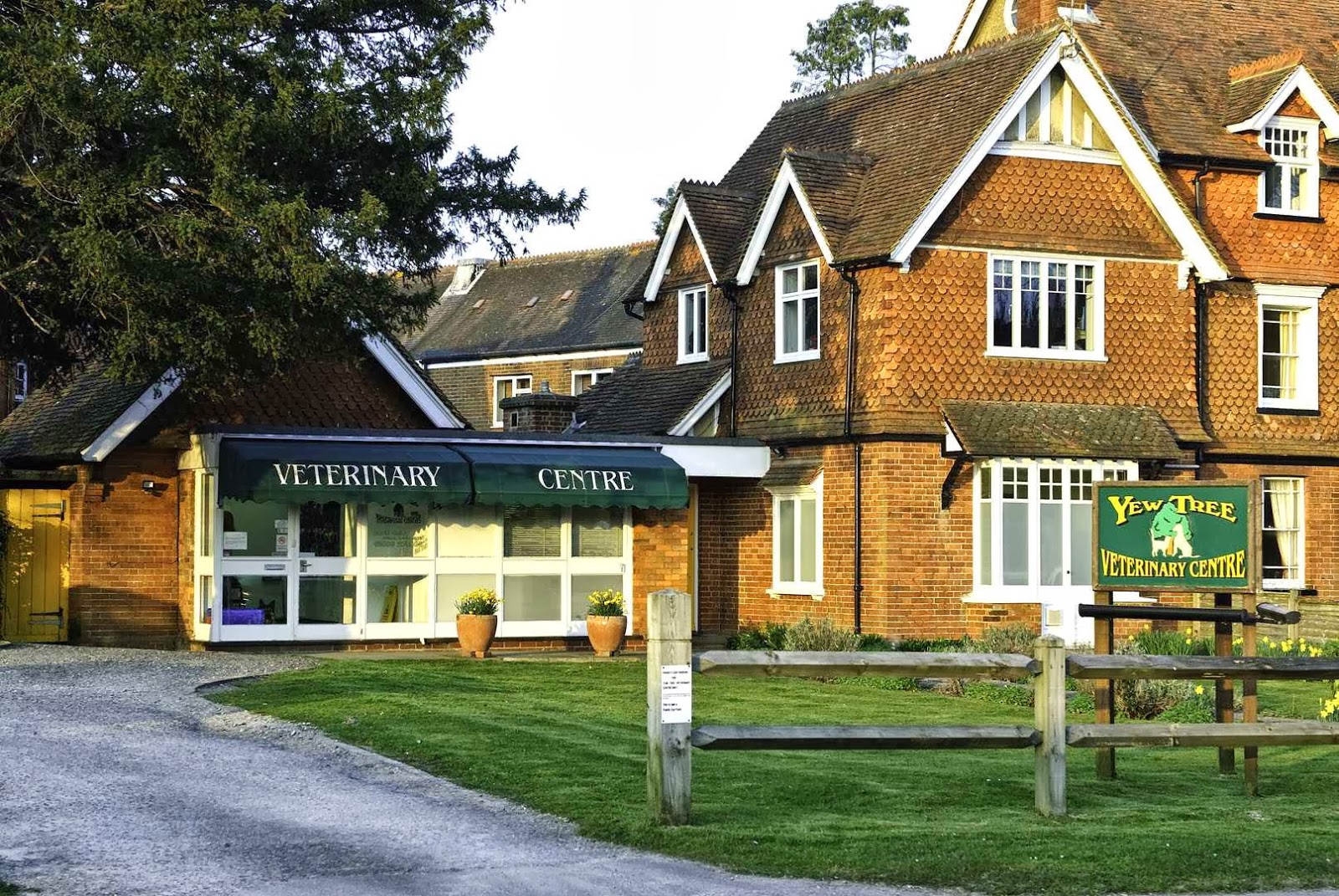 Yew Tree Veterinary Centre - Cranleigh , United Kingdom