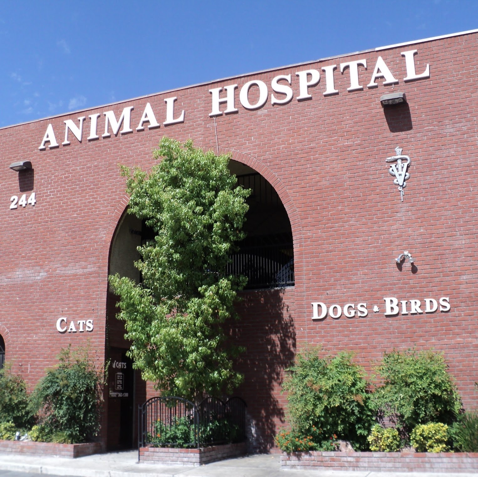 Rainbow Animal Hospital - Las Vegas , United States