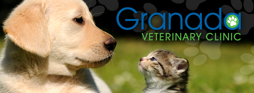 Granada Veterinary Clinic - Sherwood Park , Canada