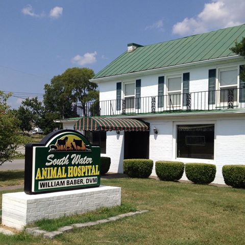 South Water Animal Hospital - Gallatin , United States