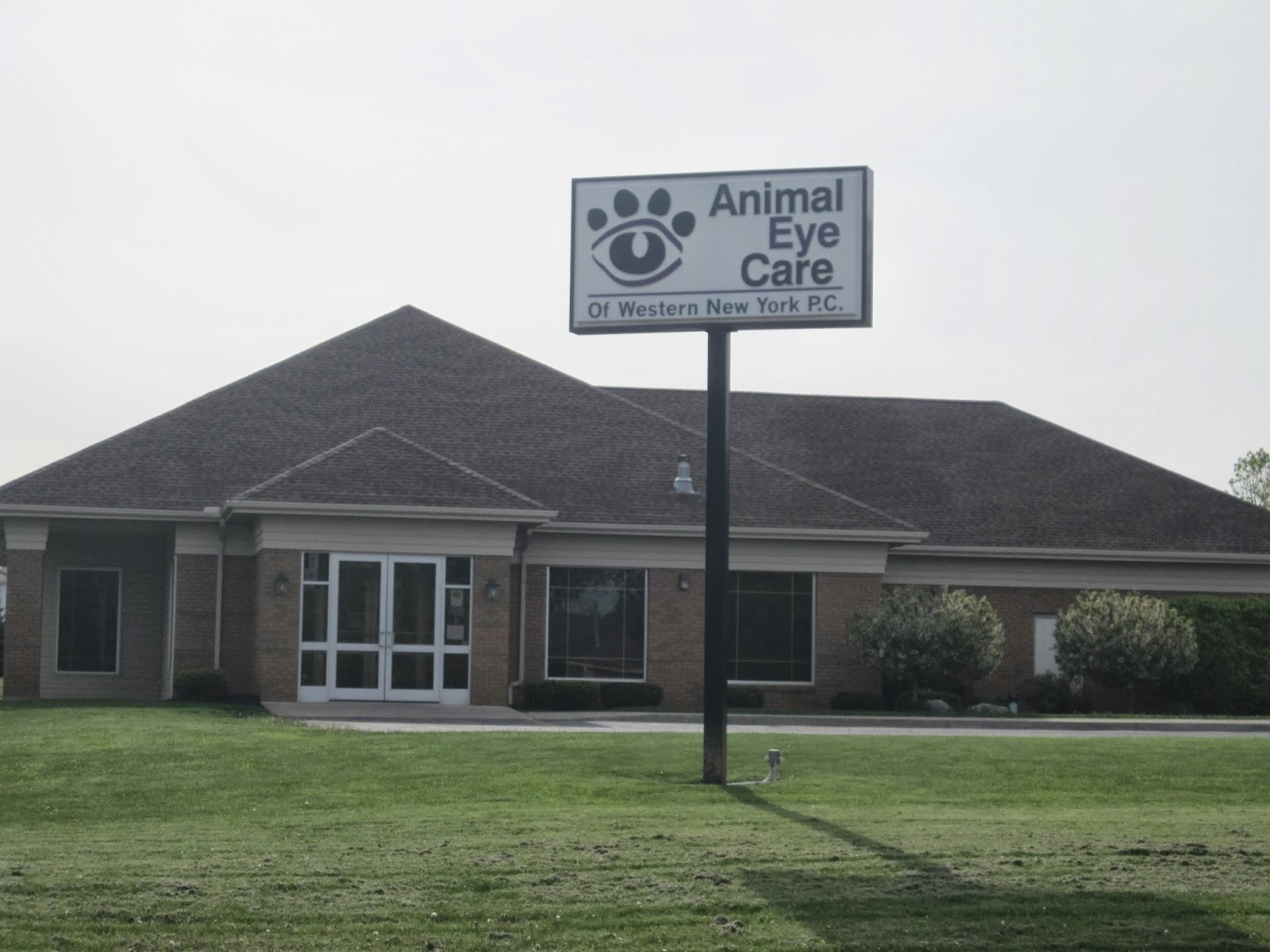 Animal Eye Care Of Western New York - Depew , United States