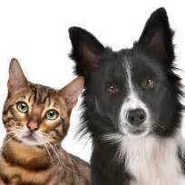Animal Hospital Of West Lake Forest - Lake Bluff , United States