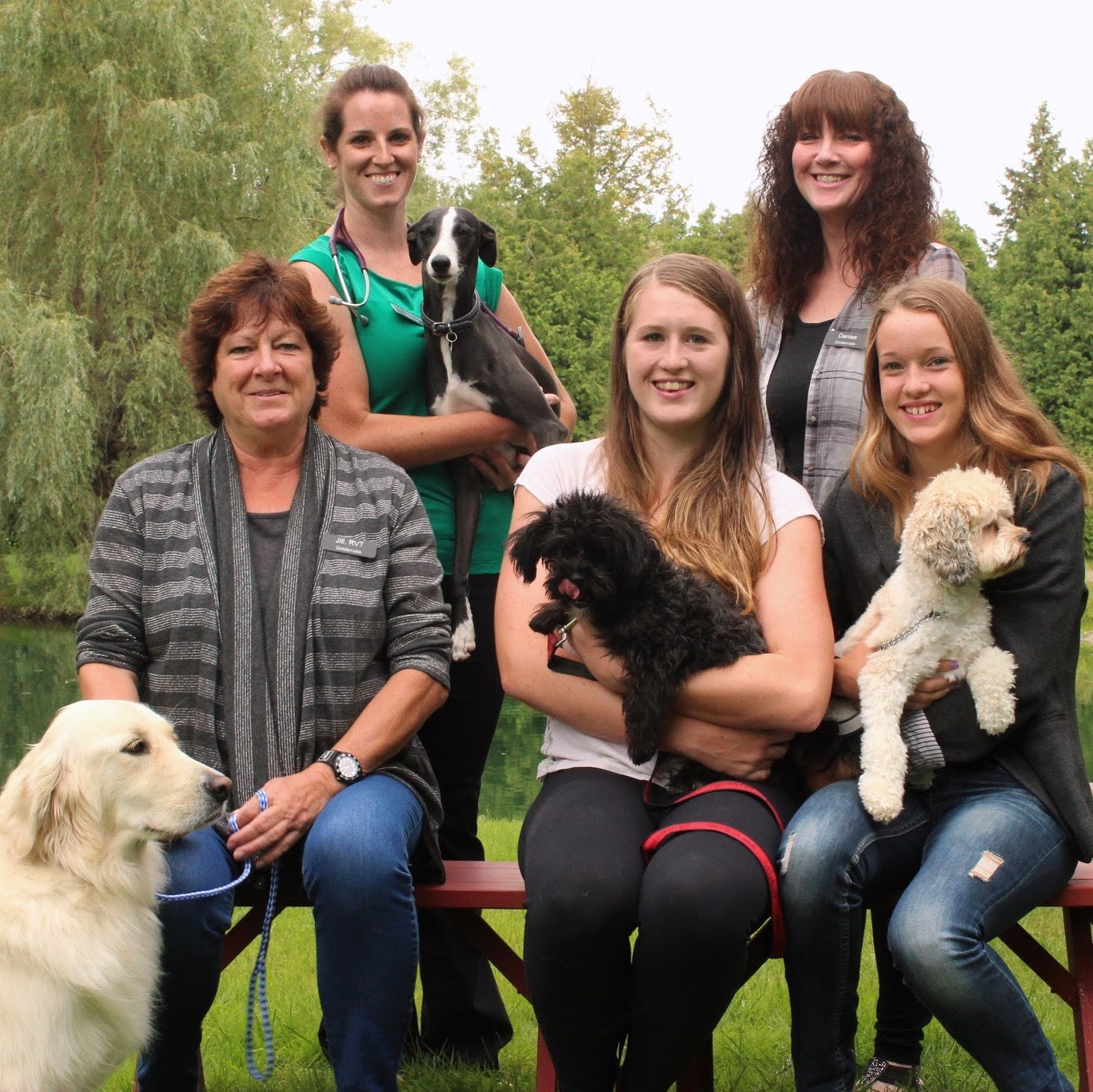Goldenvale Veterinary Hospital And Kennels - East Gwillimbury , Canada