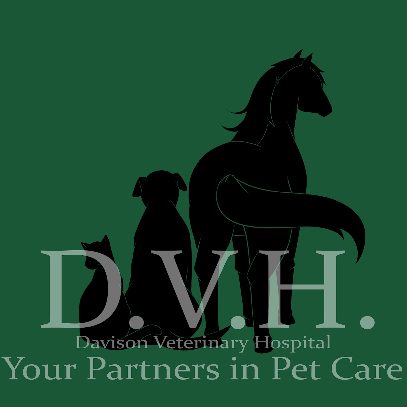 Davison Vet Integrated Care - Davison , United States