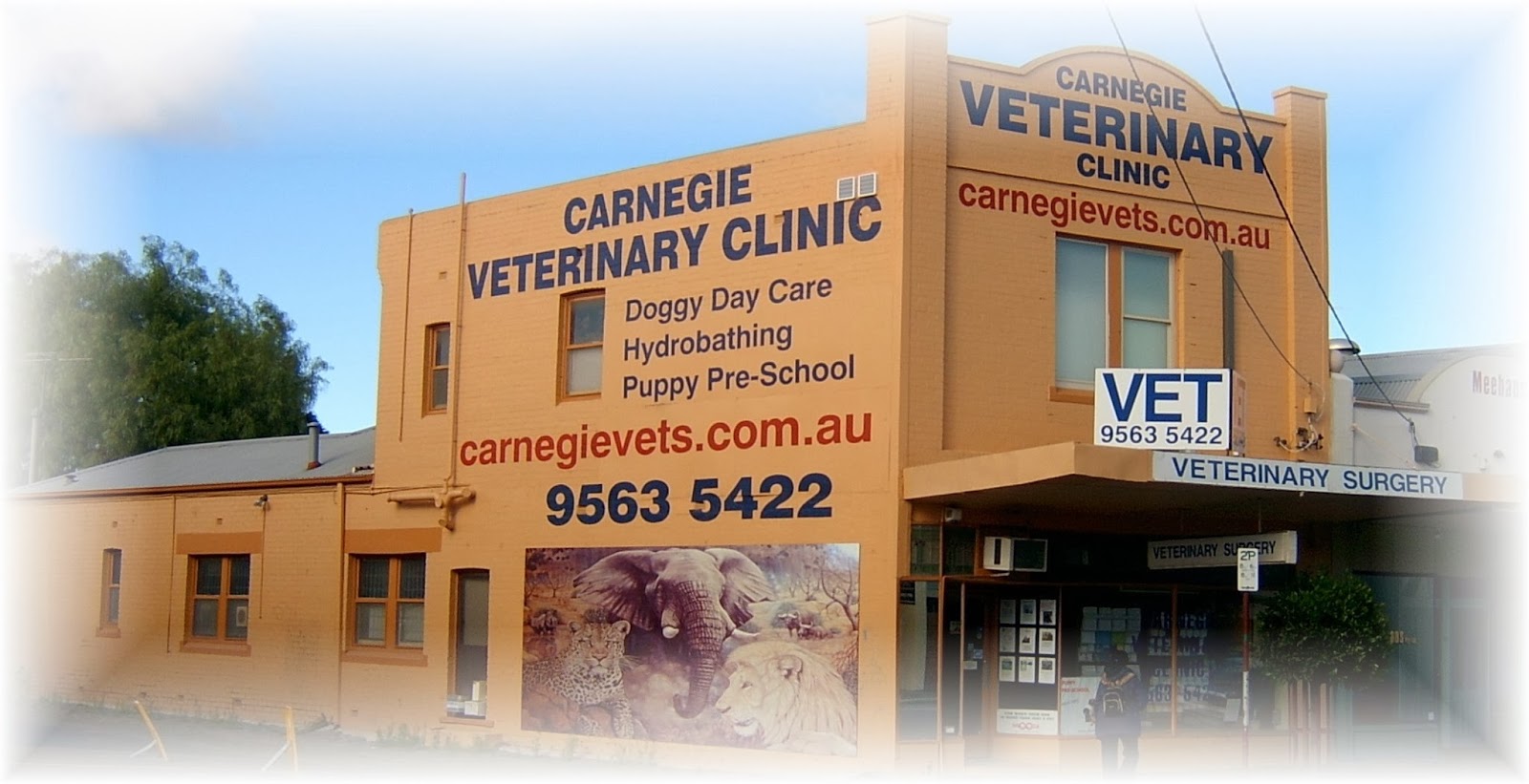 Carnegie Veterinary Clinic And Carnegie Cat Cottage - Carnegie , Australia