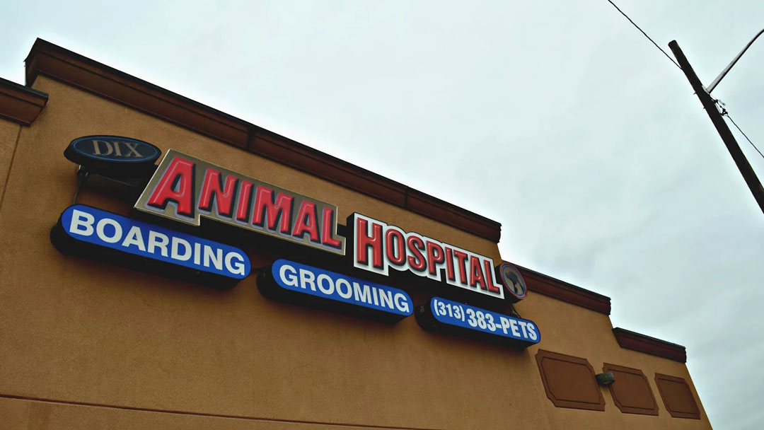 Dix Animal Hospital - Lincoln Park , United States