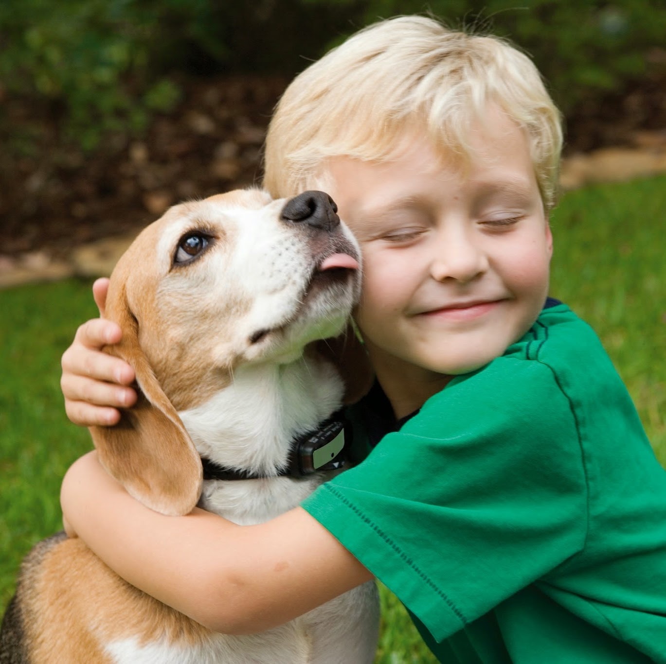 Indian River Veterinary Hospital - Virginia Beach , United States