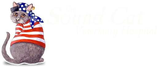 The Sound Cat Veterinary Hospital - Wilmington , United States