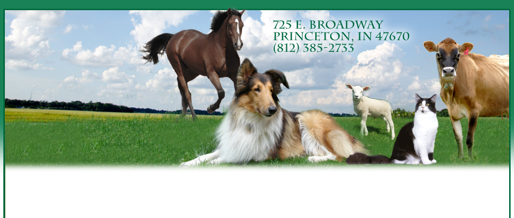 Princeton Veterinary Hospital - Princeton , United States