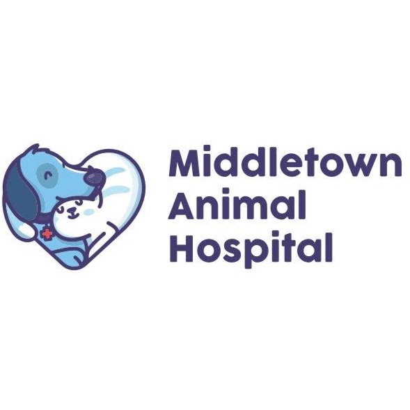 Middletown Animal Hospital - Middletown , United States