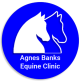 Agnes Banks Equine Clinic - Agnes Banks , Australia