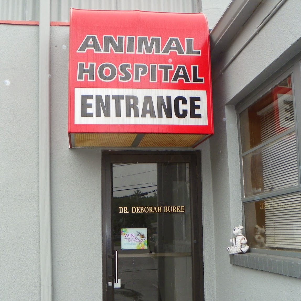 All Creatures Great And Small Animal Hospital - Fairfield , United States