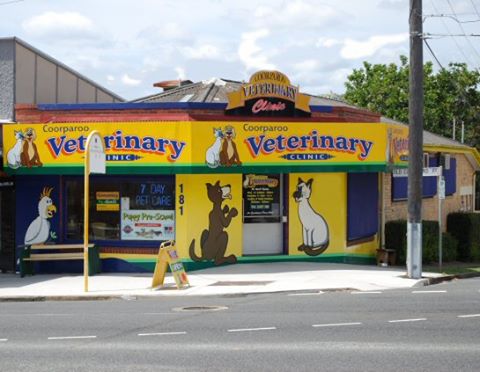 Coorparoo Veterinary Clinic - Coorparoo , Australia