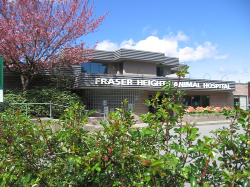 Fraser Heights Animal Hospital - Surrey , Canada