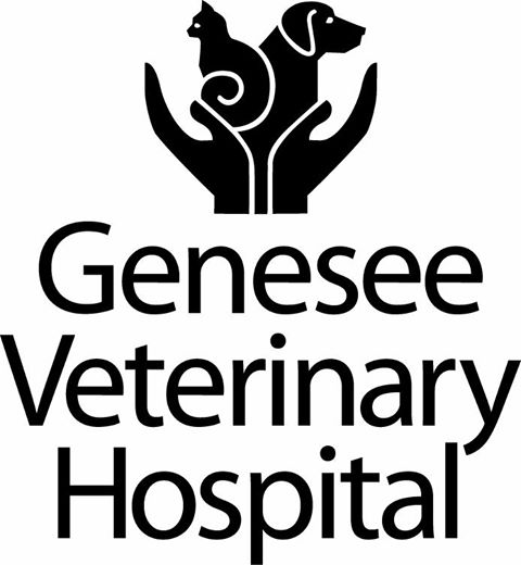 Genesee Veterinary Hospital - Golden , United States