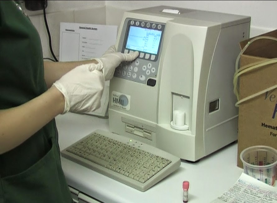 Medivet Willesborough - Ashford , United Kingdom