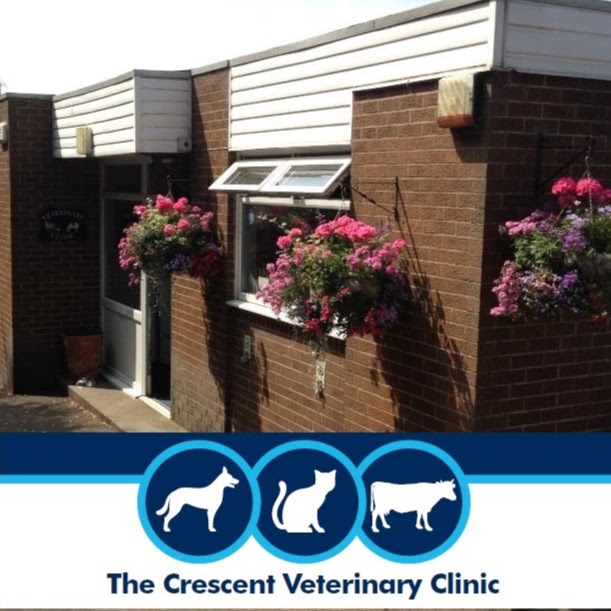 Crescent Veterinary Clinic Melton Mowbray - Melton Mowbray , United Kingdom