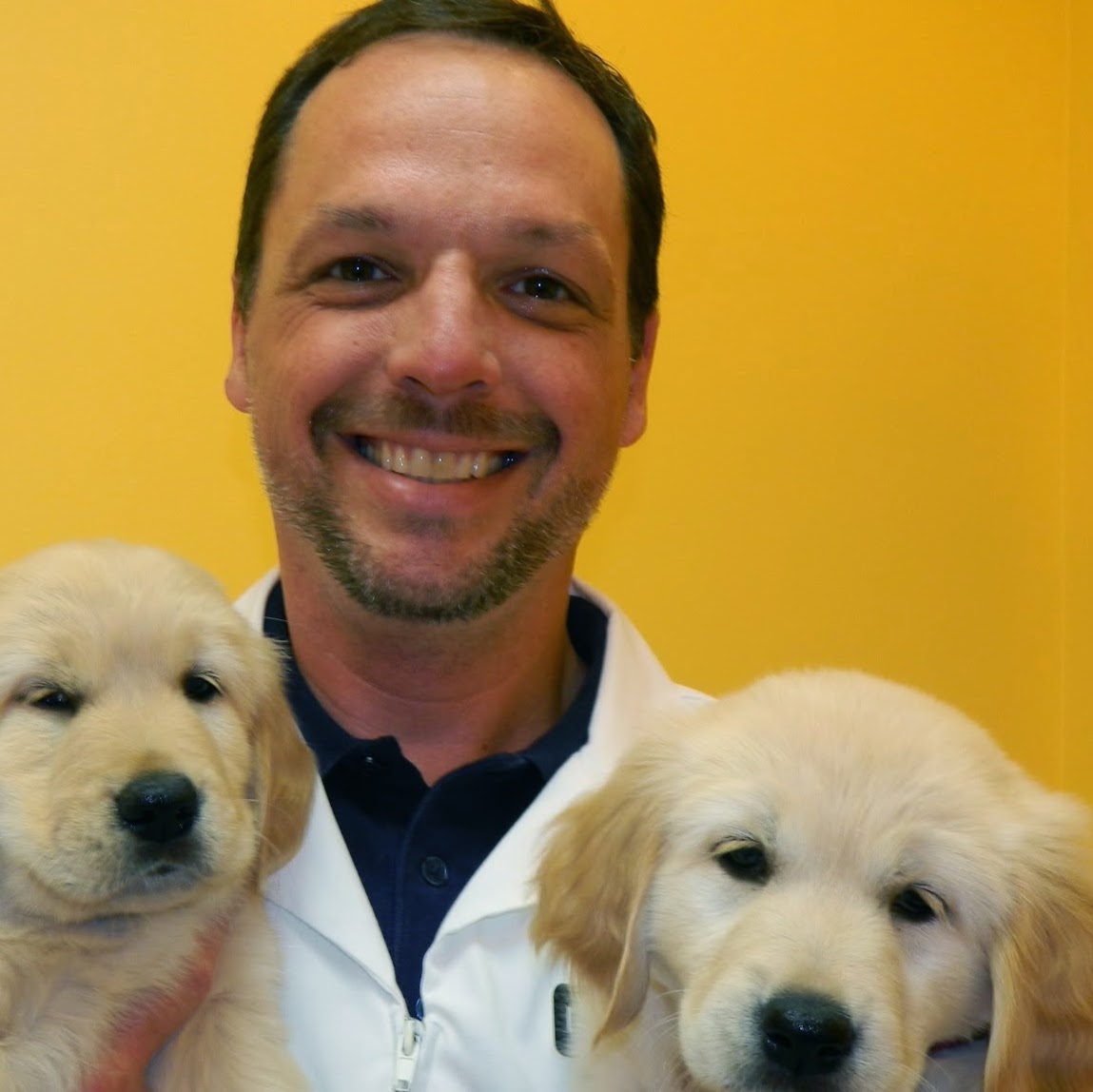 Draper Animal Hospital - Draper , United States