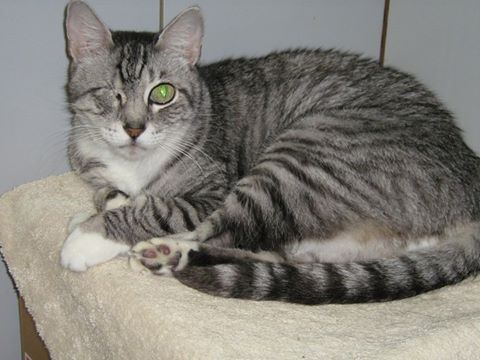 East Feliciana Animal Clinic - Ethel , United States