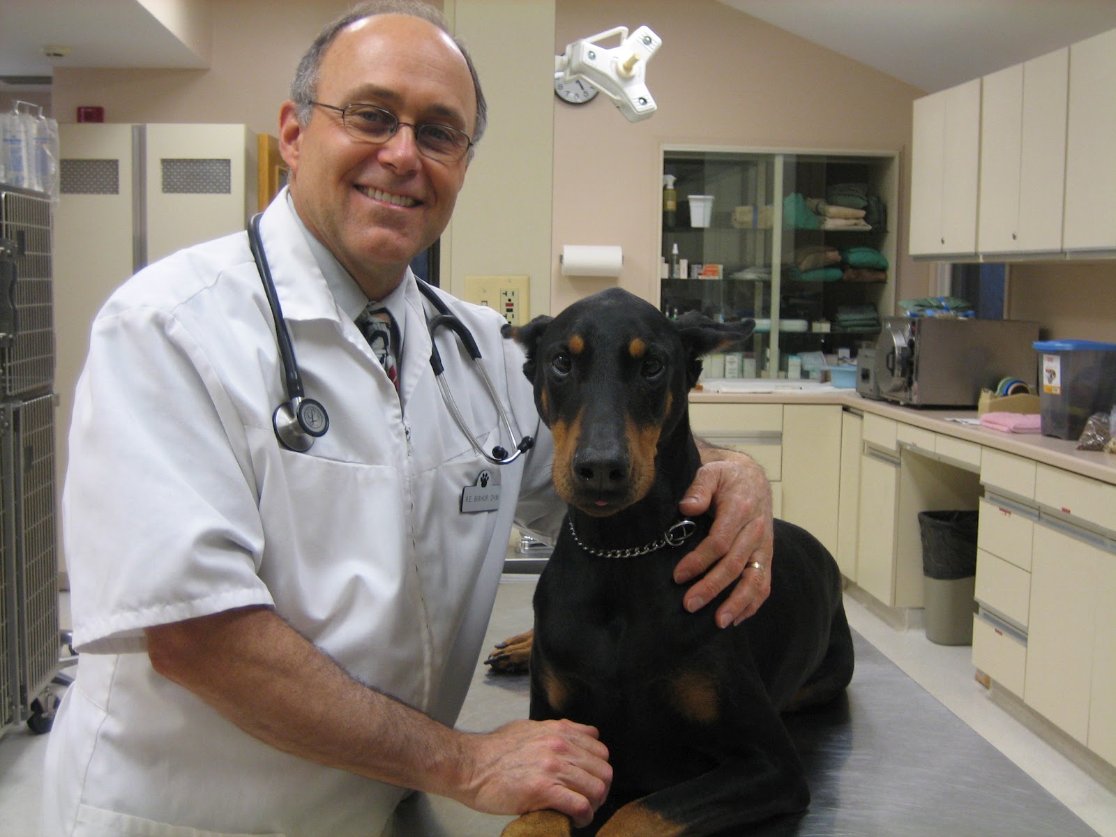 Animal Health Care P.C. - Naperville , United States
