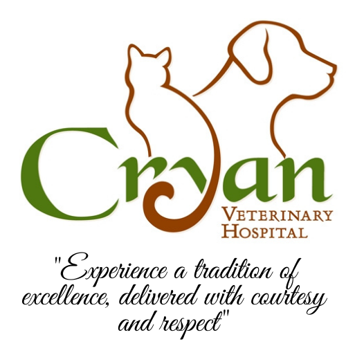 Cryan Veterinary Hospital - Westerville , United States