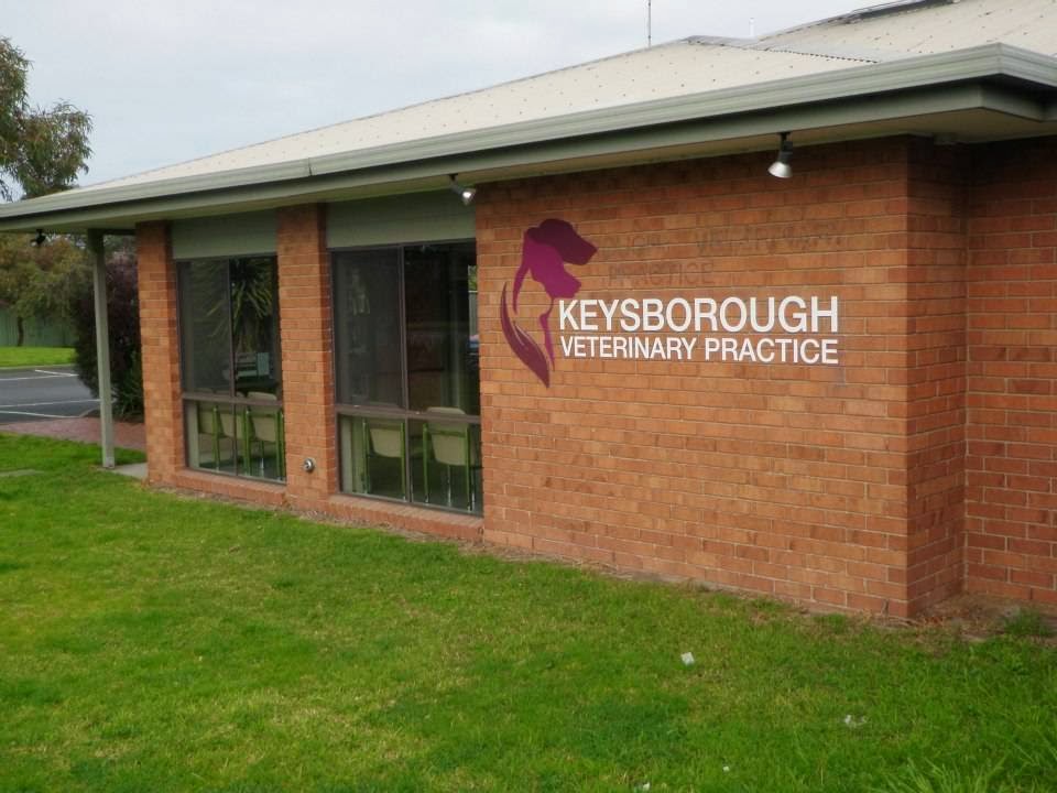 Keysborough Veterinary Practice - Keysborough , Australia