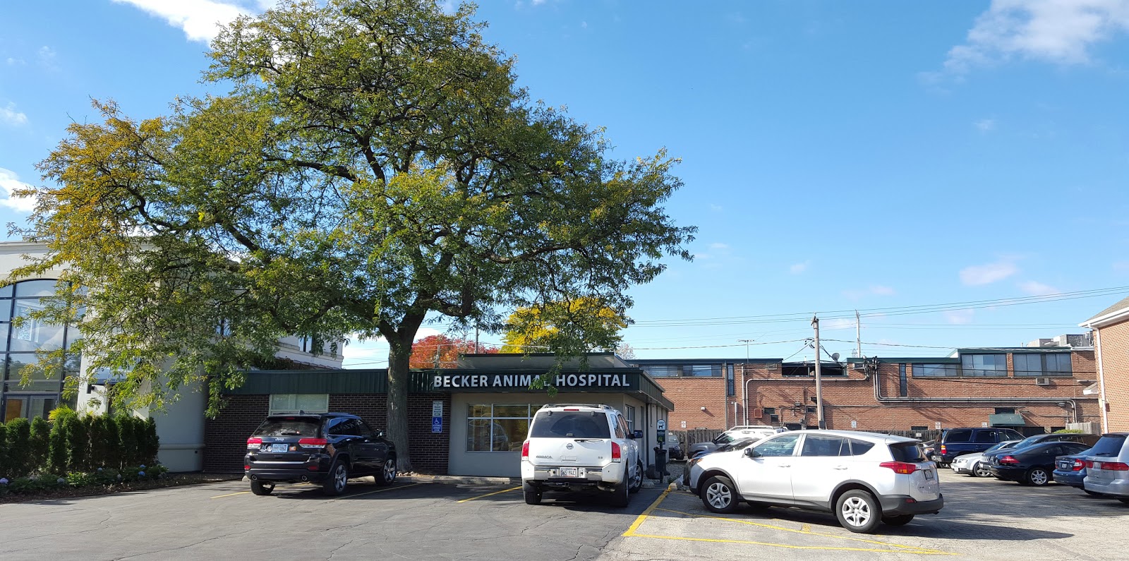 Becker Animal Hospital - Northfield , United States