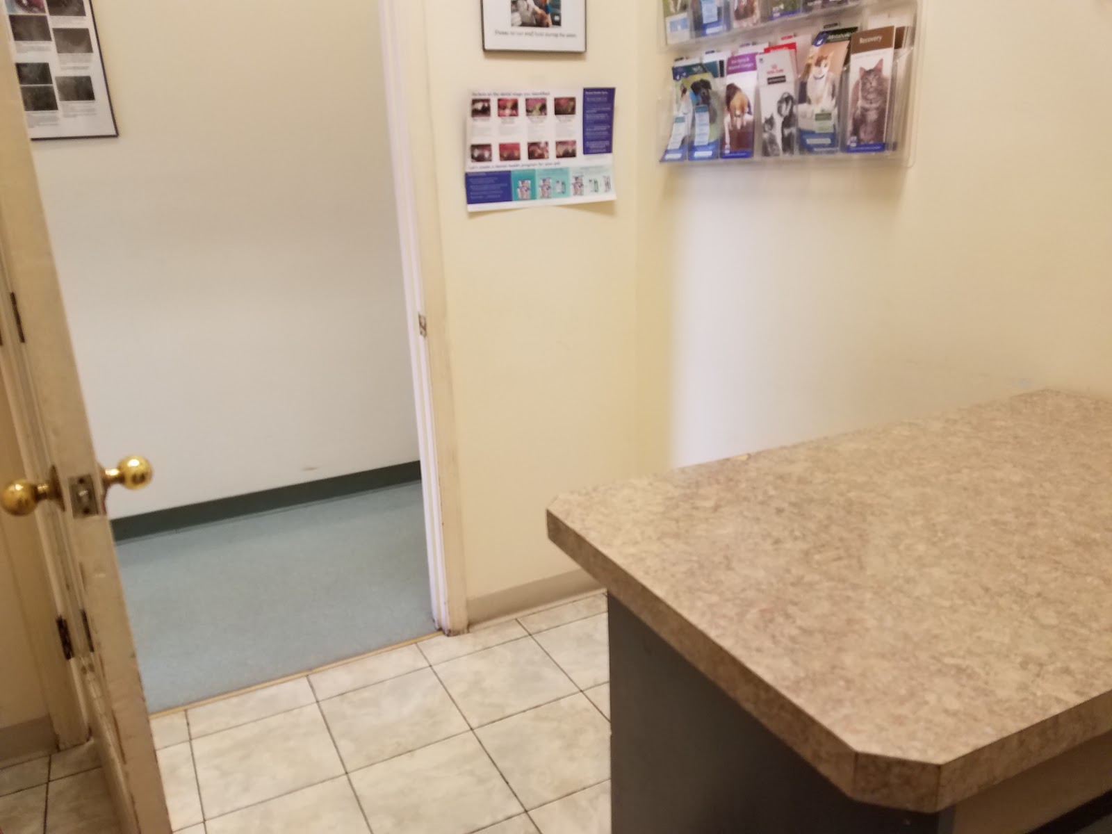 Gentle Care Animal Hospital - Lawrence , United States
