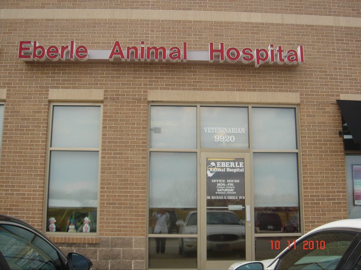Eberle Animal Hospital - Clive , United States