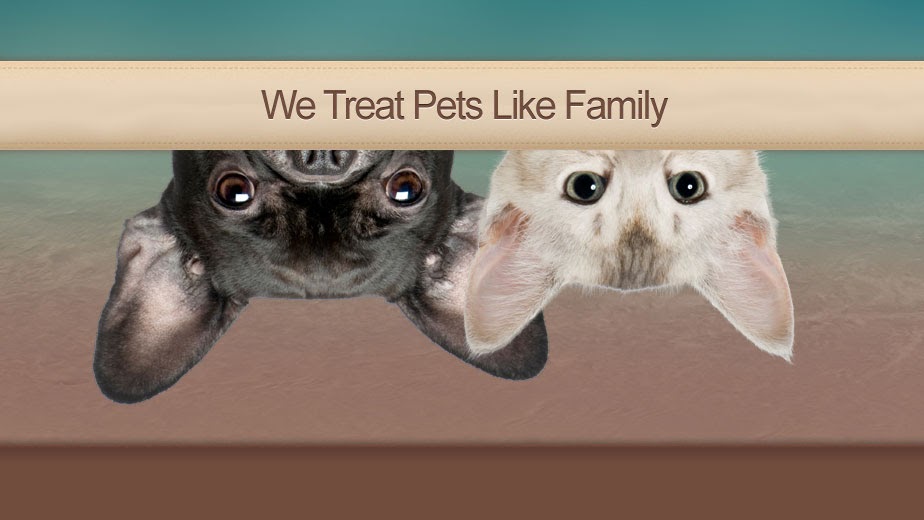 Wickford Veterinary Clinic - North Kingstown , United States