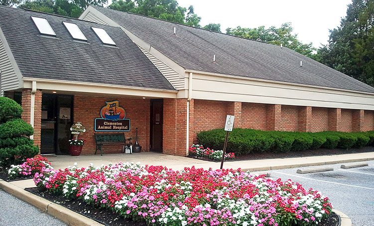 Clementon Animal Hospital - Clementon , United States