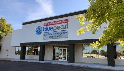 Bluepearl best sale animal hospital