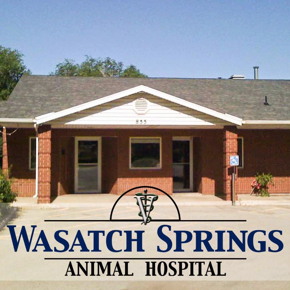 Wasatch Springs Animal Hospital - Salt Lake City , United States