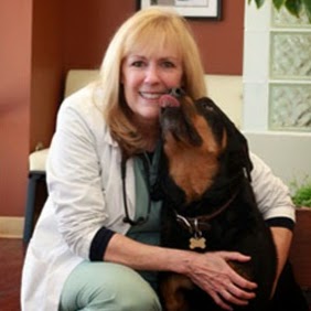 Pets First Animal Hospital - Colorado Springs , United States