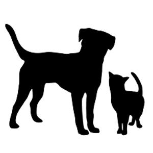 Cummings Veterinary Hospital - Easton , United States