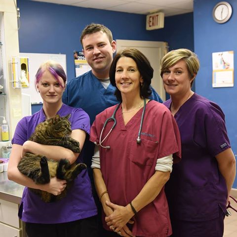 Integrative Animal Health - Bolton , United States