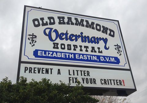 Old Hammond Veterinary Hospital - Baton Rouge , United States