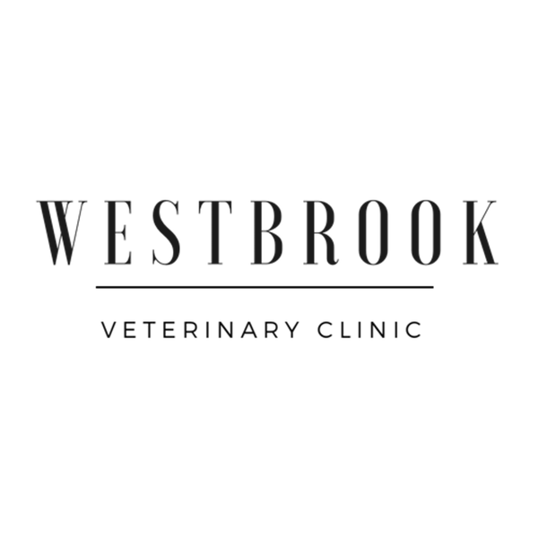 Westbrook Veterinary Clinic - Edmonton , Canada